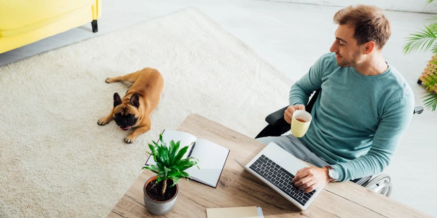 mann an laptop mit hund homeoffice