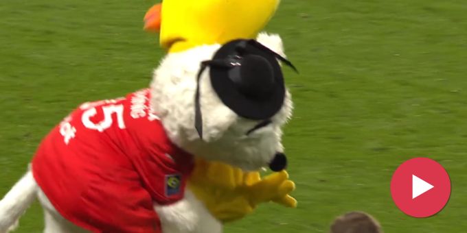 Bei Rieder-Premiere - Rennes-Maskottchen sorgt mit «Tackle» für Wirbel