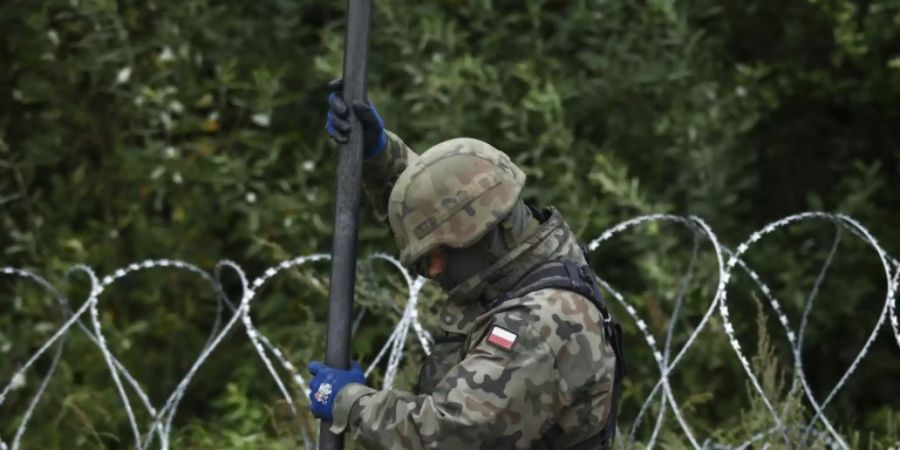 Polnischer Soldat baut Zaun an Grenze zu Belarus