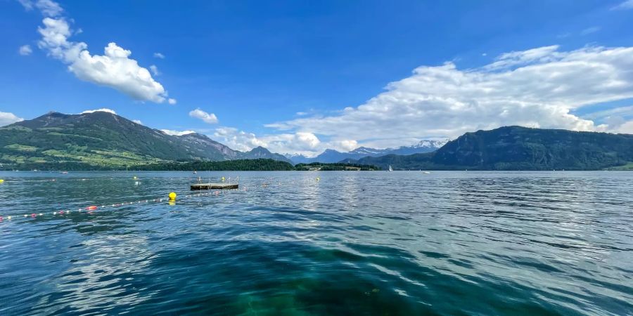 Der Ausblick auf den Viewaldstättersee in Meggen.