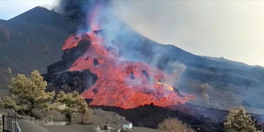 La Palma