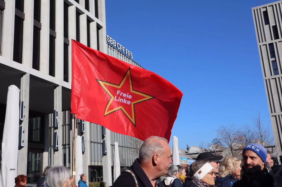 Freie Linke Demo