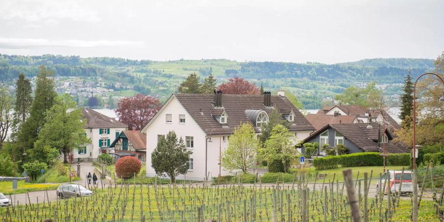 Ausblick von der Schlosserrainstrasse in Uetikon am See.
