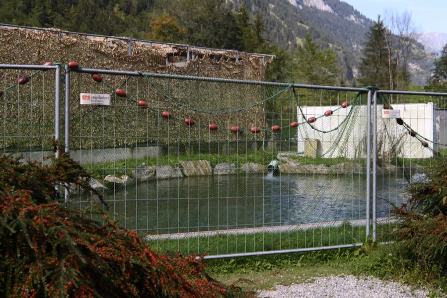 Becken in der Fischzuchtanlage des Blausees, am Mittwoch, 16. September 2020, bei Kandergrund BE.