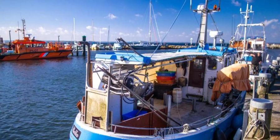 Dezimierte Fischbestände und sinkende Fangmengen verschärfen die Lage bei den deutschen Ostseefischern. Foto: Jens Büttner/dpa-Zentralbild/dpa