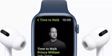prinz william
