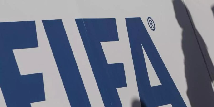 Eine Beratergruppe des Weltverbandes FIFA hat eine WM alle zwei Jahre angeregt. Foto: Omar Zoheiry/dpa/Archivbild