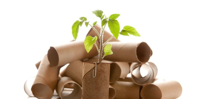 Recycling funktioniert auch bei Toilettenpapier. Recycling