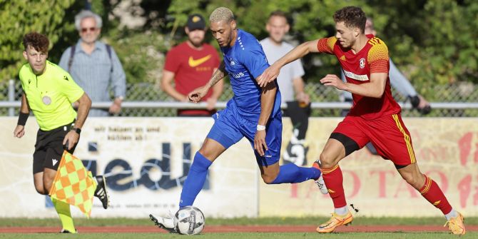 Guillaume Hoarau FCMG