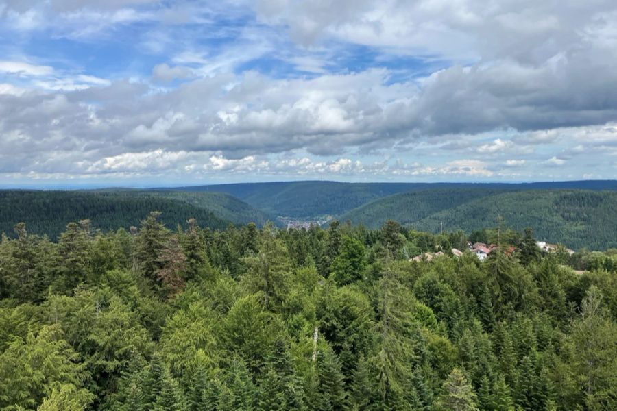 Die Region Schwarzwald ist ein wahres Paradies für Motorrad-Fans.