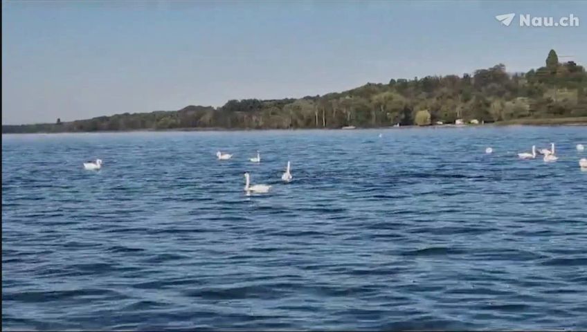 estavayer-le-lac-fr