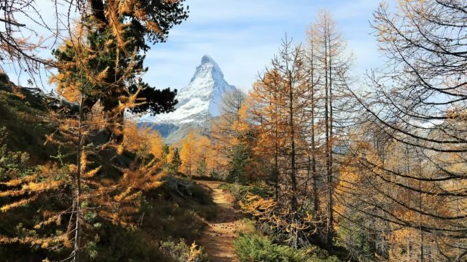 Auf der Riffelalp, auf über 2200 Metern, bist du schon unter der Zermatter Baumgrenze und kannst durch wohlduftende Arven- und Lärchenwälder streifen, deren Bäume teils 500- bis 1000-jährig sind. Gornergrat Bahn