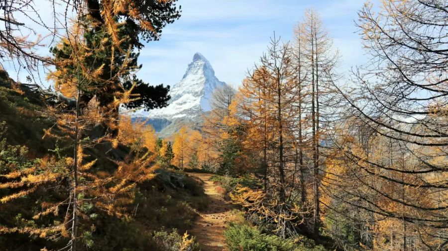 Gornergrat Bahn