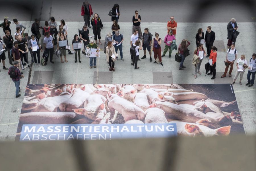 Die Initiantinnen und Initianten an einem Anlass zur Lancierung der Massentierhaltungsinitiative im Juni 2018. Zu sehen ist auch ein Plakat mit Mastschweinen.