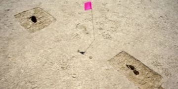 Footprints