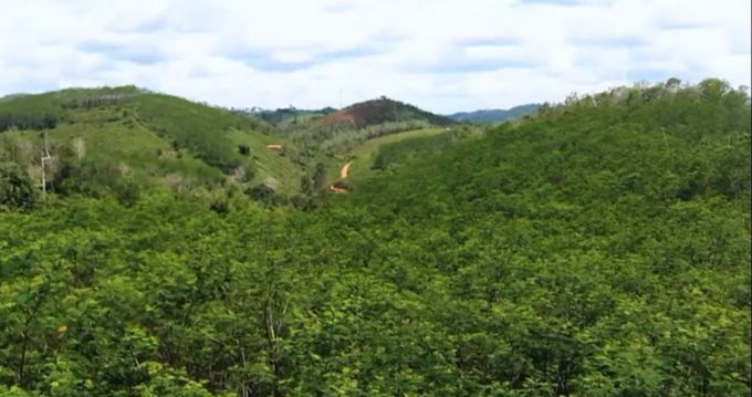 Borneo