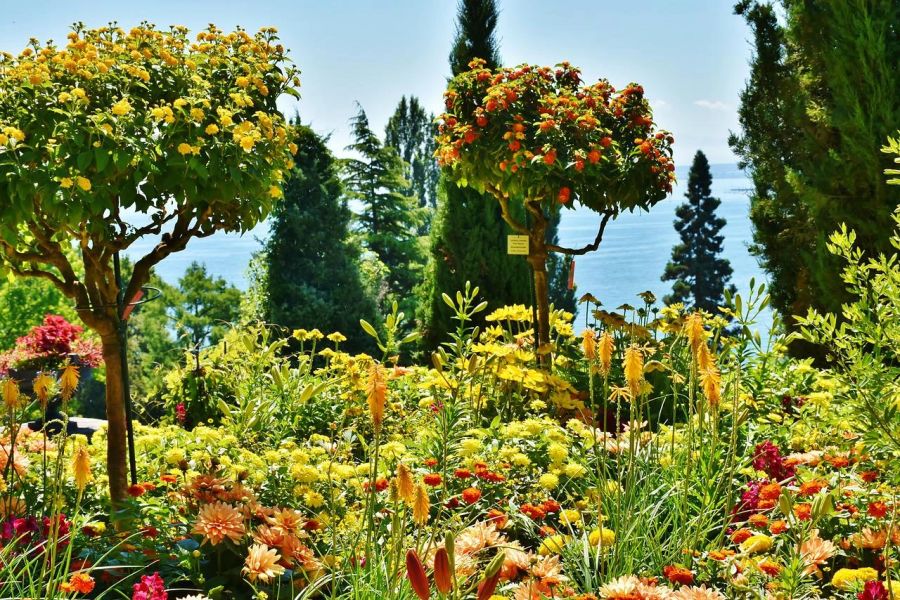 Insel Mainau