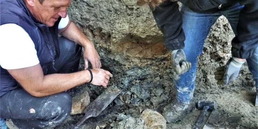 Experten des Landesamt für Umwelt, Roland Eichhorn und Thomas Viertler, entnehmen im Lattengebirge bei Bad Reichenhall Proben der Gesteinsschicht. In den Schichten sind Stäube aus einem Asteroideneinschlag sowie darüber Asche aus massiven Vulkanausbrüchen konserviert.