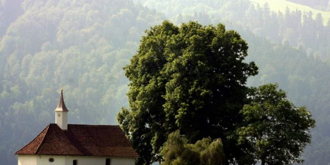 SCholz allgäu