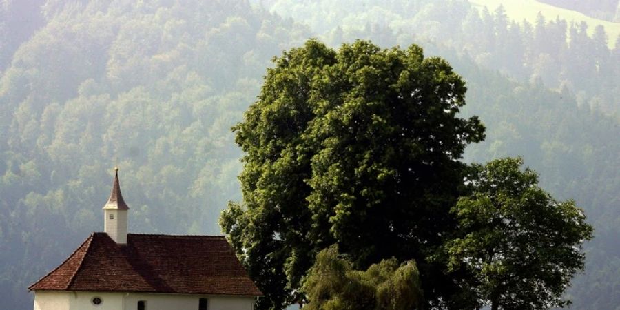 SCholz allgäu
