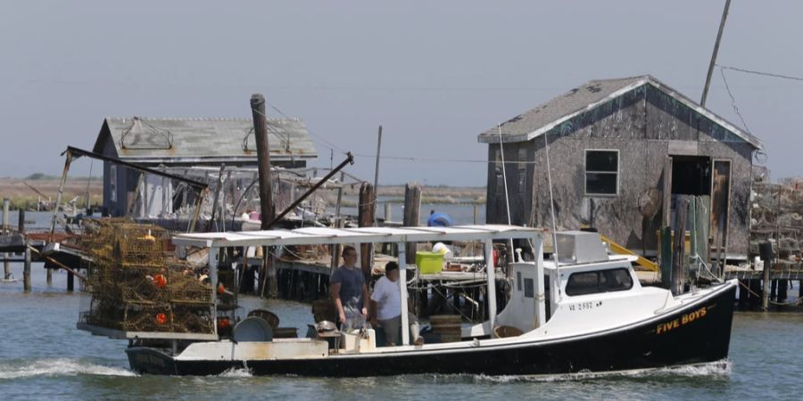 Tangier Island