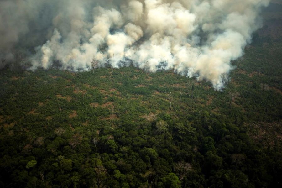 Durch die vielen Rodungen gibt es so viele Waldbrände wie seit 15 Jahren nicht mehr im Amazonasgebiet. (EPA/Joedson Alves)