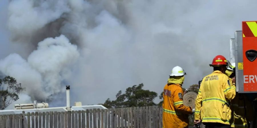 Feuerwehrleute kämpfen gegen Buschbrände in Australien