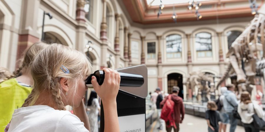 Kind im Museum, Ausstellung, Dinosaurier