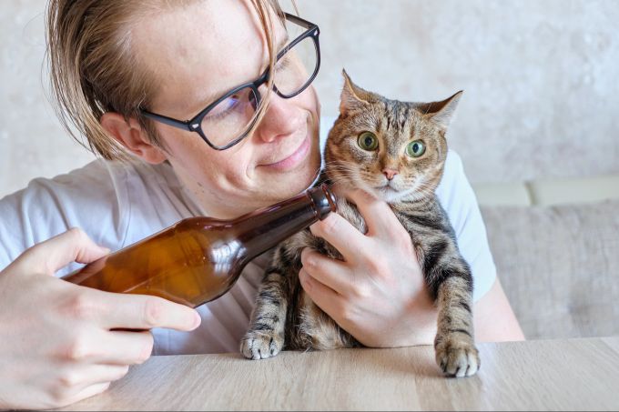 Alkohol ist für die Tiere ein absolutes No-go. Alkohol, Katze, gefährlich, giftig
