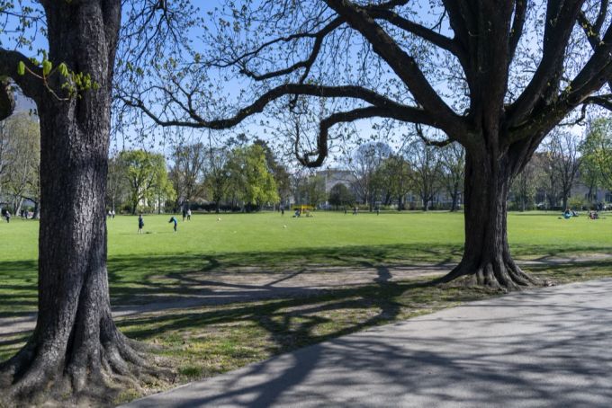 Gibt es in Basel bald mehr Grünflächen (im Bild der Schützenmattpark)? basel