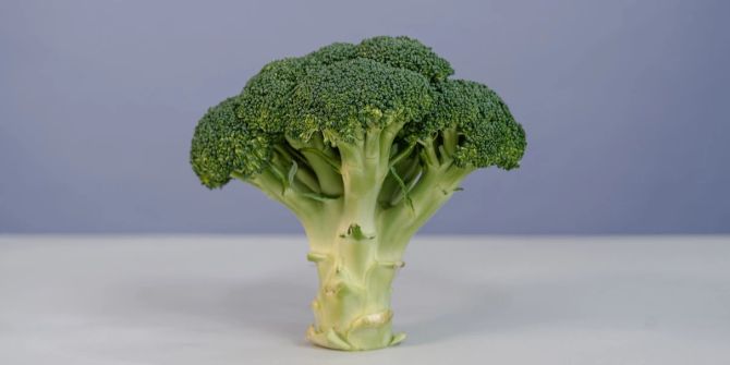 Mini Baum Broccoli