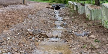 Erfolgreiche Renaturierung des Aecherligbachs in Grosswangen.