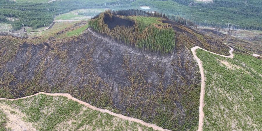 Die Waldbrände verbreiten sich vor allem in der Provinz Alberta.