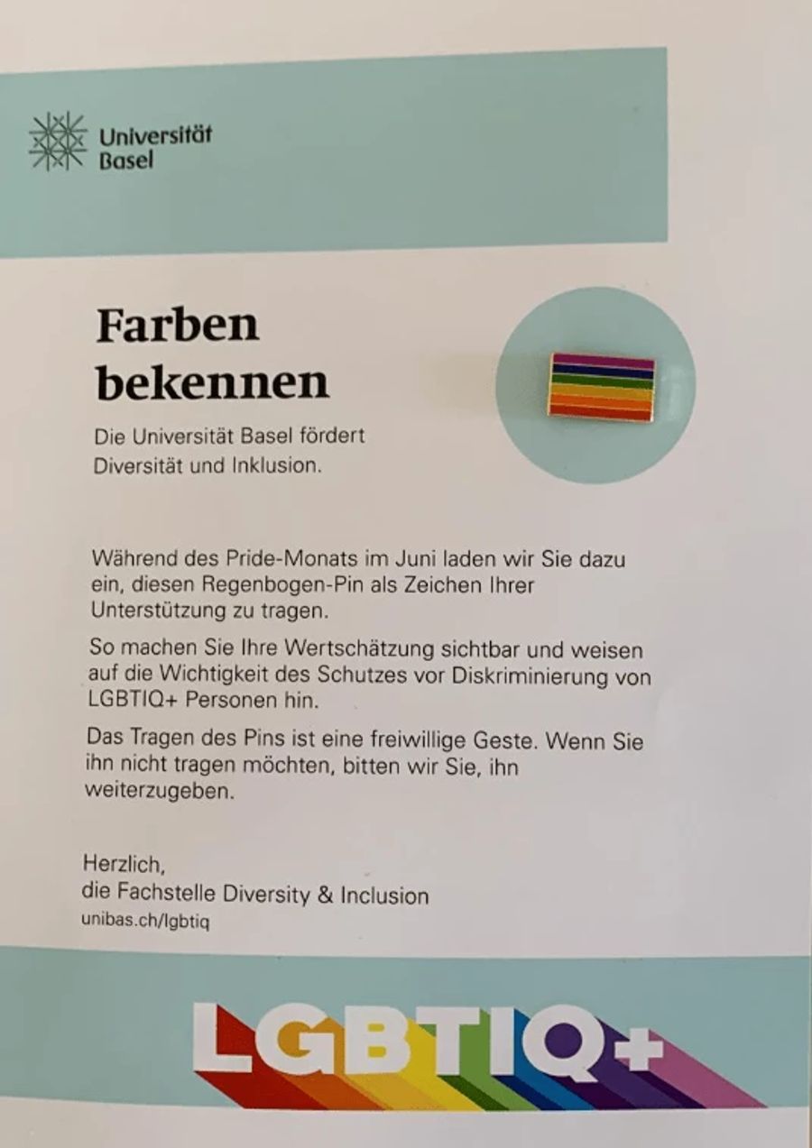 Universität Basel Regenbogen-Pin