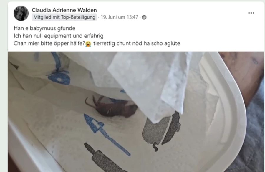 Auf Facebook suchte Walden nach Hilfe, da sie vom Tierrettungsdienst keine Unterstützung bekam.