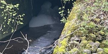 Verschmutzung der Sionge