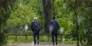 Wetter