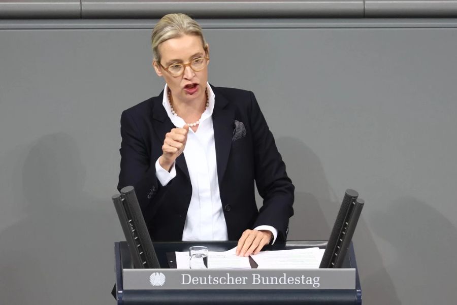 Alice Weidel wettert gegen den Euro.