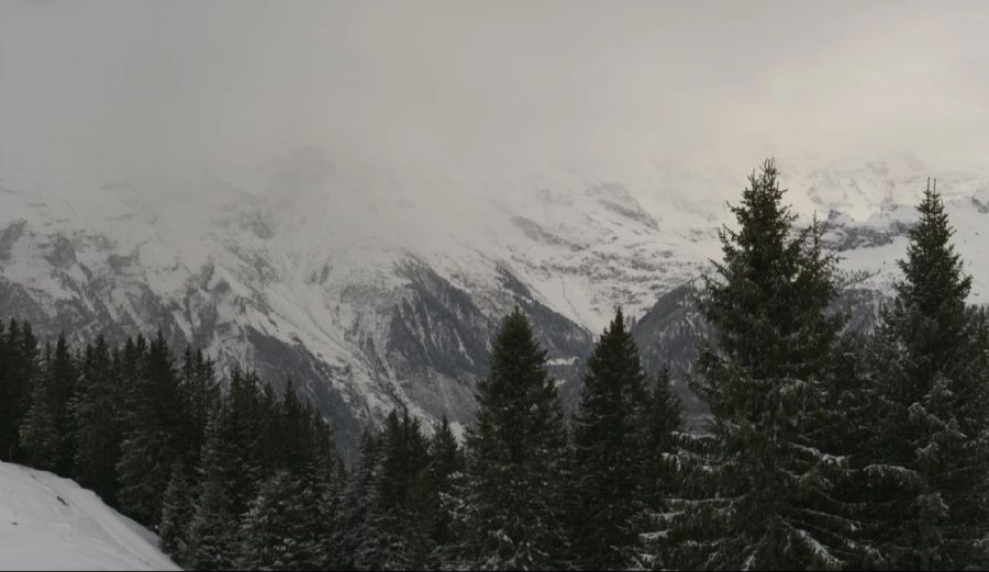 Auch in Mürren im Berner Oberland hat es in der Nacht geschneit. Hier ein Bild vom Allmendhubel auf 1907 Metern.