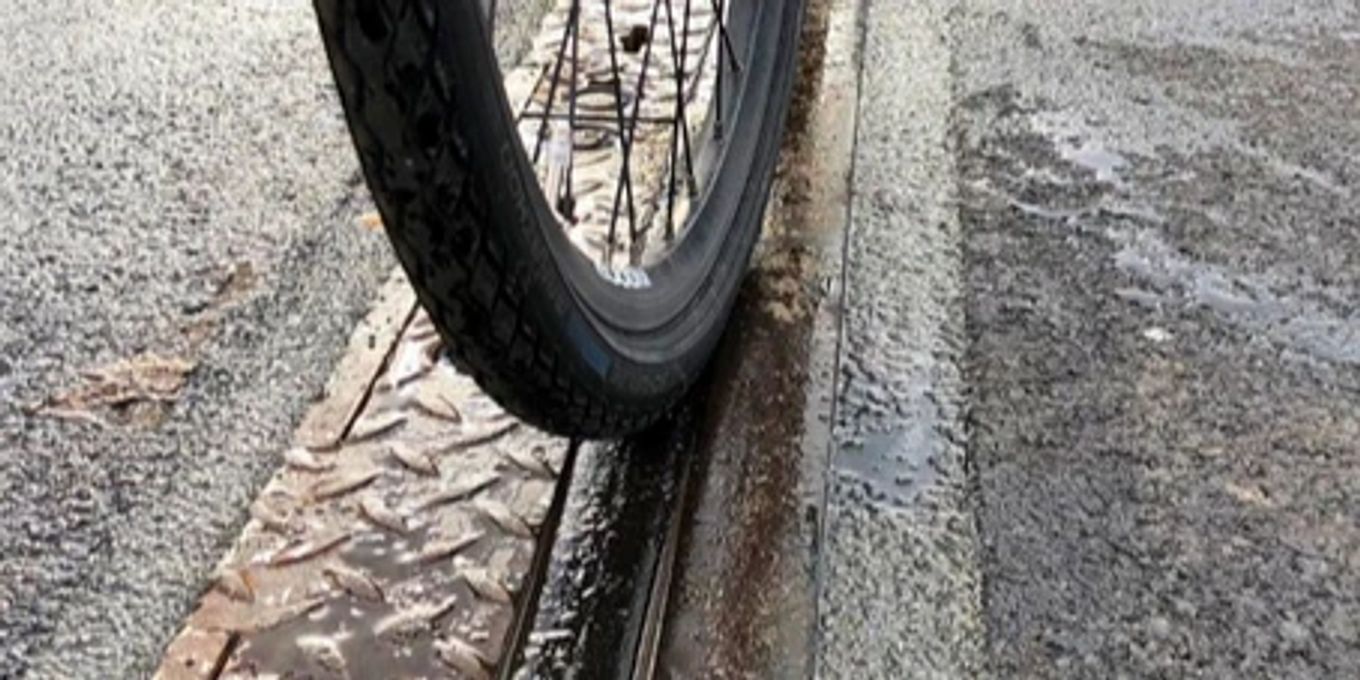 バーゼル：市民は自転車走行可能な道路の廃止を望んでいる