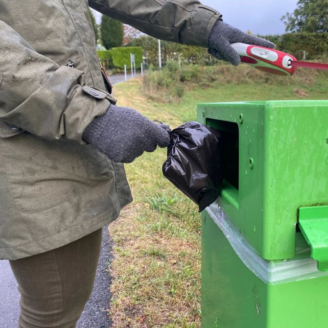 Hundekot Säckli Hund Protest