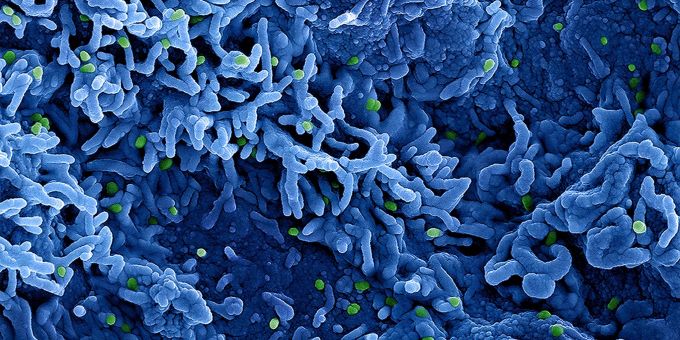 Mpox breiten sich in der Regel über engen Körperkontakt aus. (Archivbild) mpox who krisensitzung