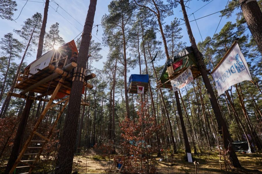 Die Protestierenden errichteten unter anderem ein Waldcamp.