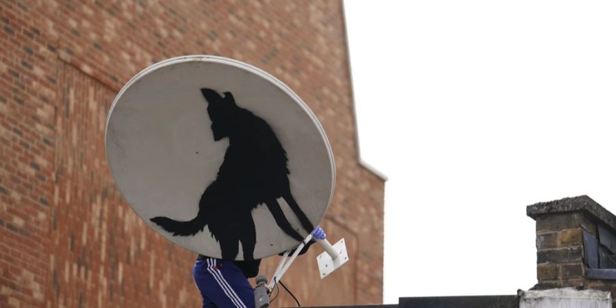 Banksy Wolf