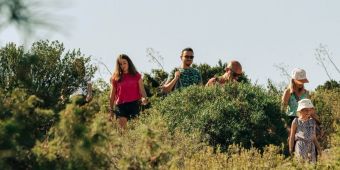 gruppe von menschen wandert durch weinberge