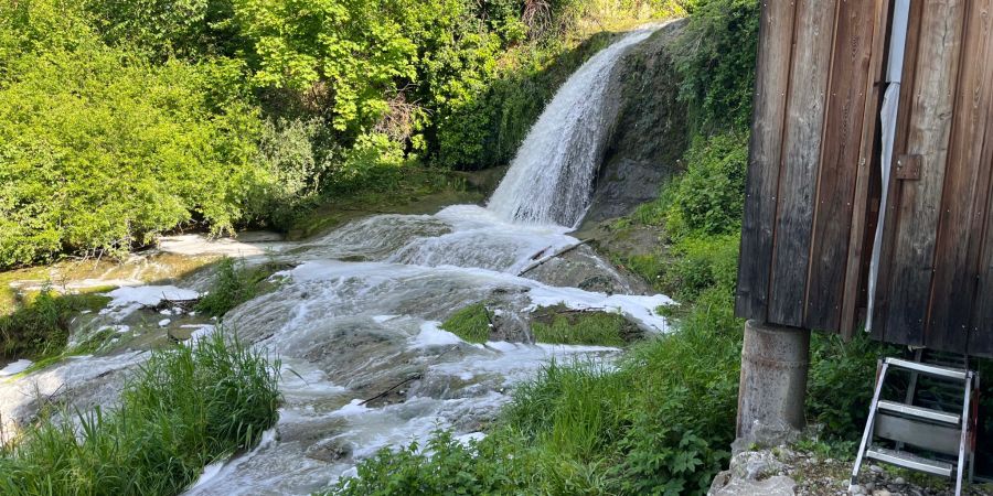 Schaumbildung im Brübach