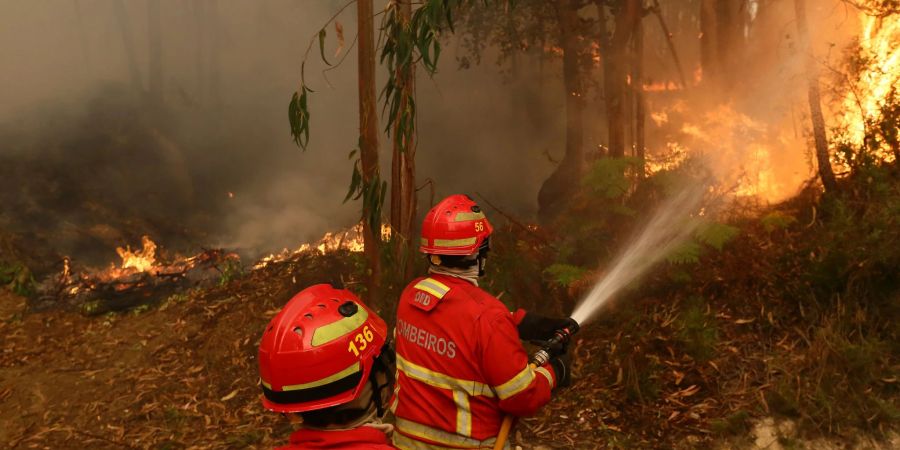 Die Zahl der Waldbrände wächst mit dem Klimawandel (Archivbild)