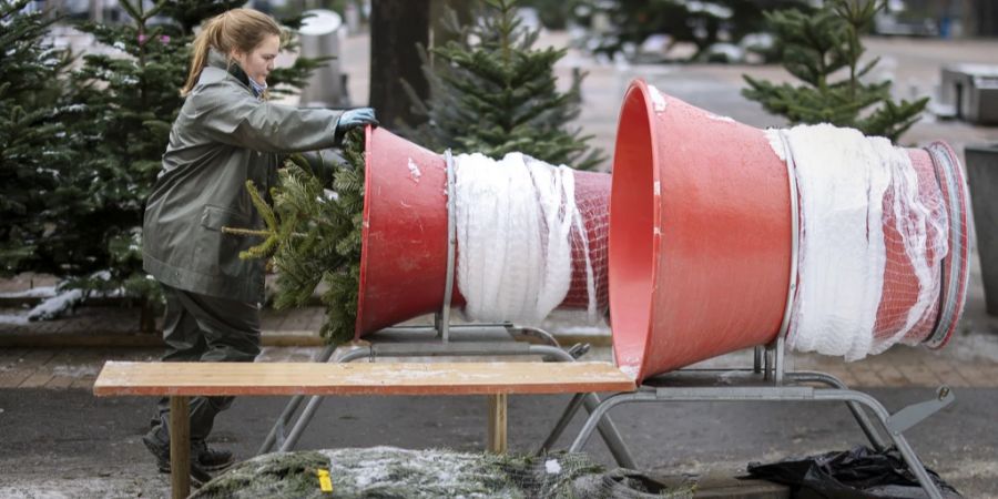 weihnachtsbaum