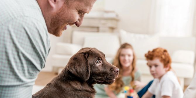 Familie mit Hundewelpen