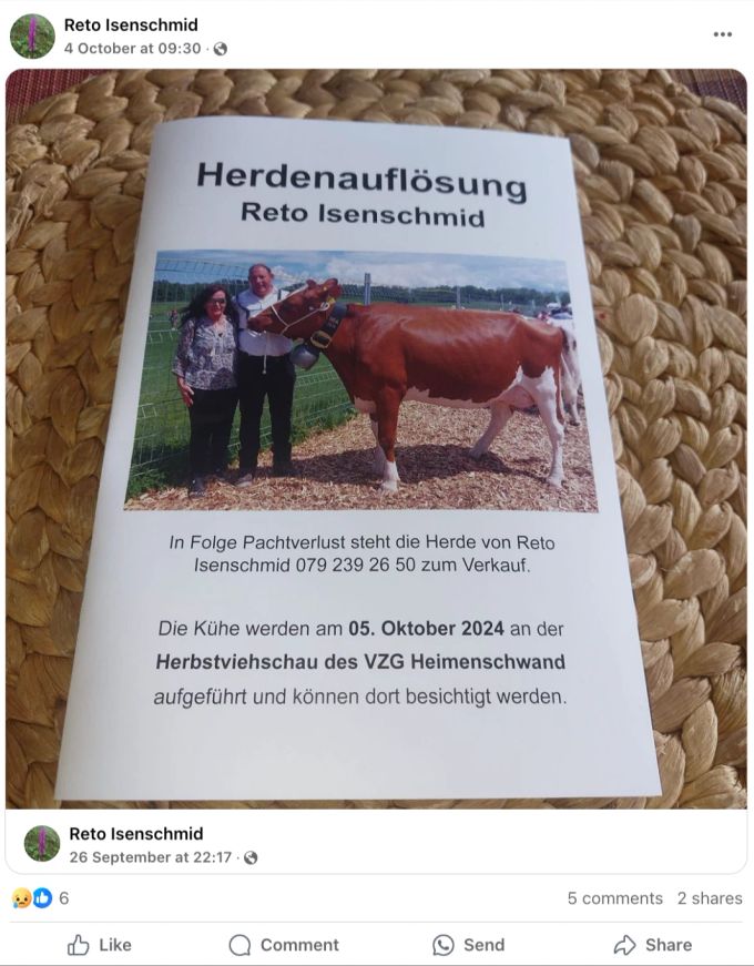 Auf Facebook macht der Bauer darauf aufmerksam, dass seine Kühe verkauft werden müssen. kühe